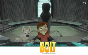 Bolt